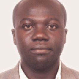 Charles Kwadwo Tweneboah (Professional English)