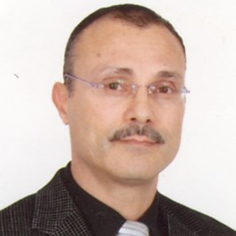 Taoufik Ben Hamouda (Sales & Marketing Management)