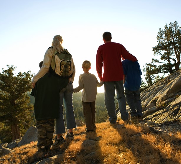 Environmental Protection & Management