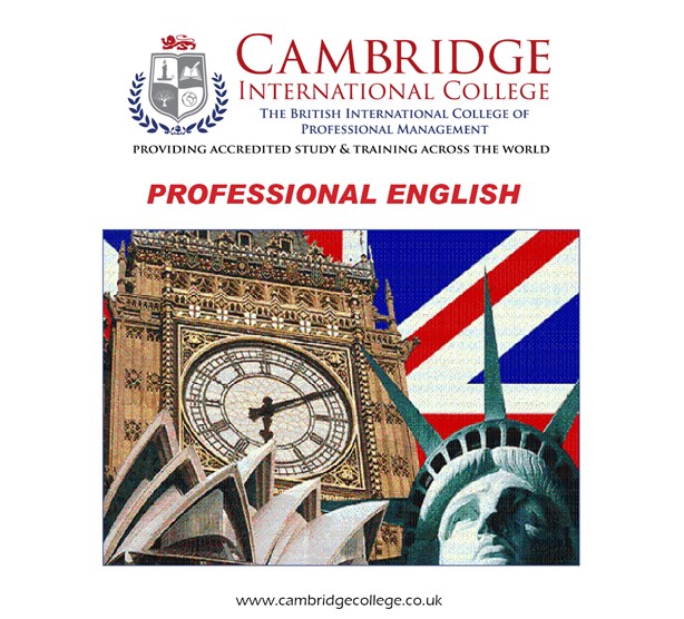 Professional English (Everyday & Business Use)