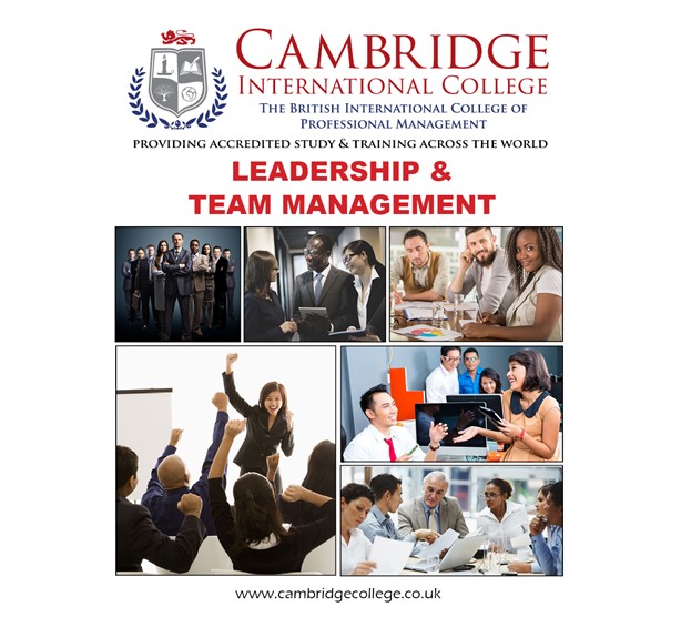 Leadership & Team Management