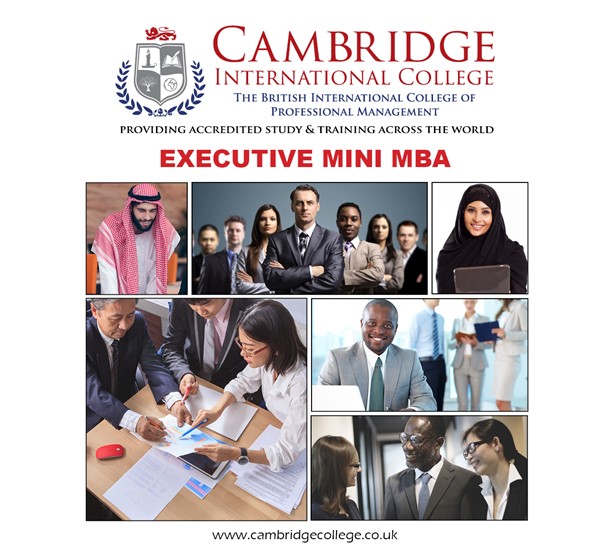 Executive Mini MBA